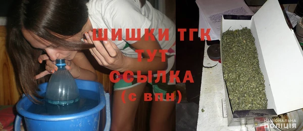 ПСИЛОЦИБИНОВЫЕ ГРИБЫ Каменка