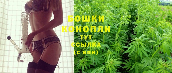 ПСИЛОЦИБИНОВЫЕ ГРИБЫ Каменка