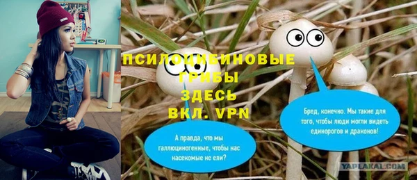 ПСИЛОЦИБИНОВЫЕ ГРИБЫ Каменка