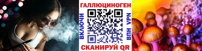 Купить где  Касимов  Псилоцибиновые грибы GOLDEN TEACHER 